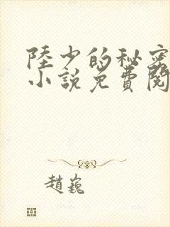 陆少的秘密恋人小说免费阅读