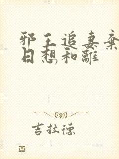 邪王追妻弃妃日日想和离
