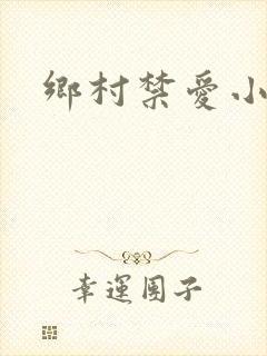乡村禁爱小说