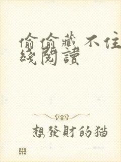 偷偷藏不住 在线阅读
