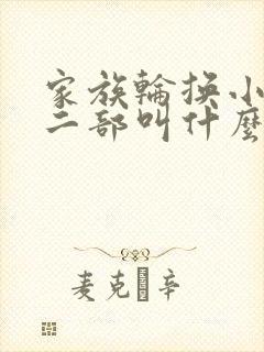 家族轮换小说第二部叫什么名字