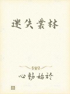 迷失丛林