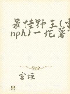 最佳野王(电竞nph)一坨薯饼封面