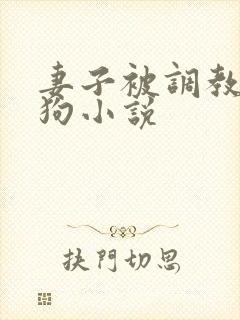 妻子被调教成母狗小说