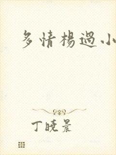 多情杨过小说