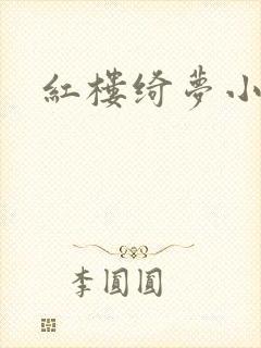 红楼绮梦小说