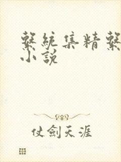 系统集精系统 小说