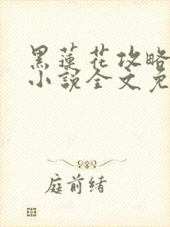 黑莲花攻略手册小说全文免费阅读笔趣阁封面