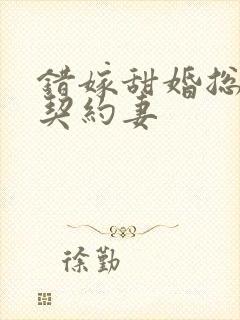 错嫁甜婚总裁的契约妻封面
