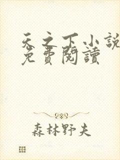 天之下小说全文免费阅读