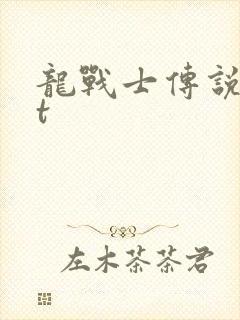 龙战士传说txt