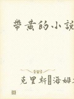 带黄的小说封面