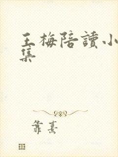 王梅陪读小说全集封面