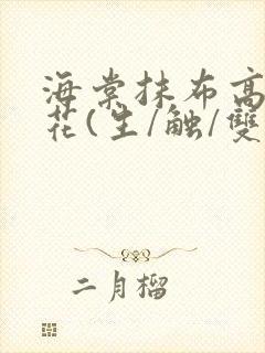 海棠抹布高岭之花(生/触/双)