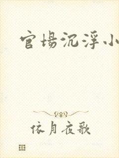 官场沉浮小说