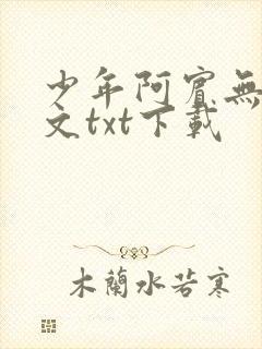 少年阿宾无删全文txt下载封面