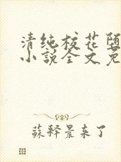 清纯校花堕落记小说全文免费阅读