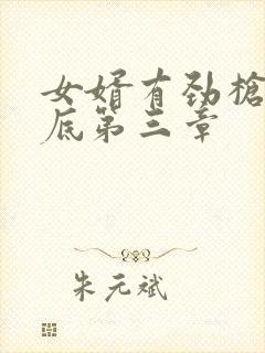 女婿有劲枪枪到底第三章封面