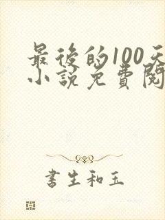 最后的100天小说免费阅读