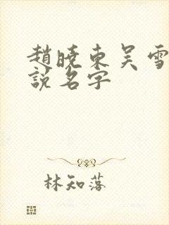 赵晓东吴雪晴小说名字