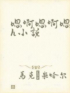 嗯啊嗯啊嗯啊高h小说