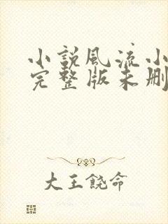 小说风流小傻医完整版未删减小说