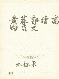 黄蓉郭靖高h纯肉爽文