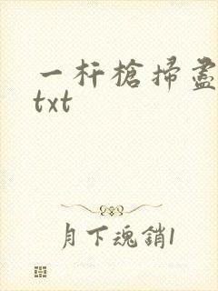 一杆枪扫尽全家txt封面
