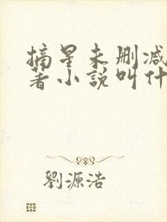 摘星未删减版原著小说叫什么