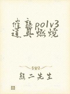 催熟po1v3道具燃烧封面