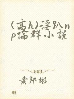 (高h)淫趴np伦群小说封面