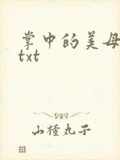 掌中的美母版主txt