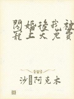 闪婚后我被大佬宠上天免费阅读