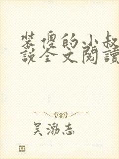 装傻的小叔子小说全文阅读