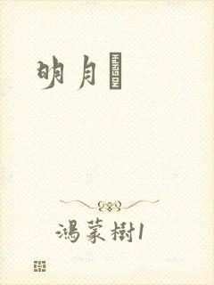 明月珰封面