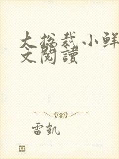 大总裁小鲜妻全文阅读