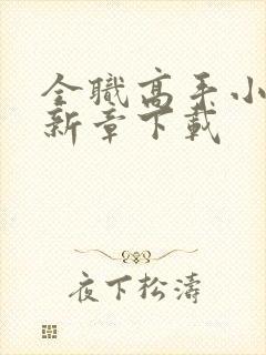 全职高手小说最新章下载