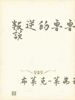 叛逆的鲁鲁修小说