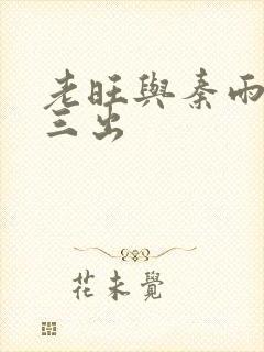老旺与秦雨三进三出