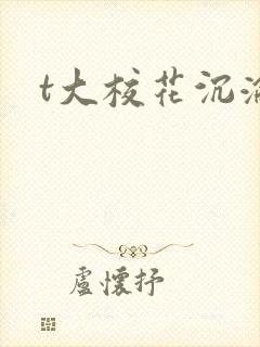 t大校花沉沦封面