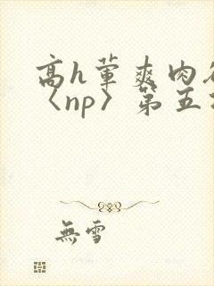 高h荤爽肉欲文〈np〉第五次封面