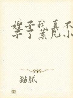 嫂子我真不是傻子了叶凡小说全篇