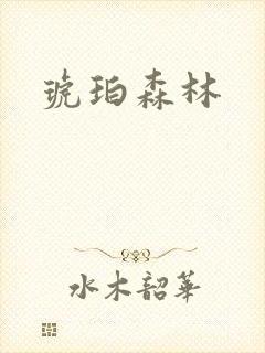 琥珀森林