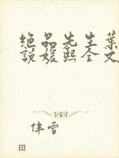 绝品先生叶辰小说媛熙全文免费阅读