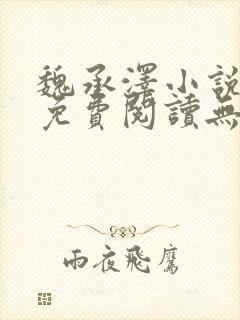 魏承泽小说全文免费阅读无弹窗笔趣封面