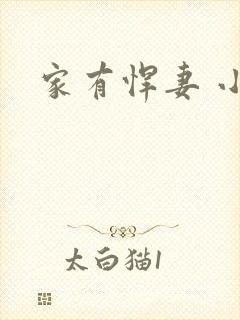 家有悍妻 小说