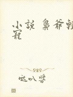 小说 枭爷轻点宠