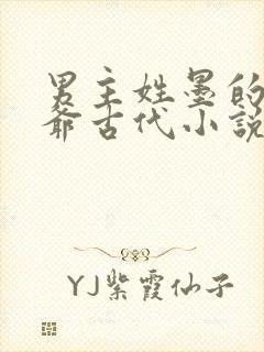 男主姓墨的是王爷古代小说
