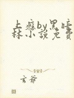 上瘾by黑暗森林小说免费封面
