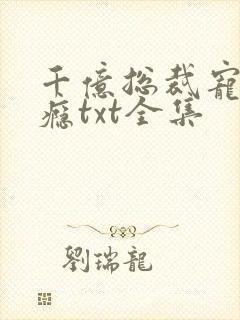 千亿总裁宠妻上瘾txt全集封面